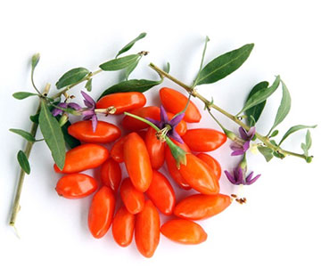 Goji Extract