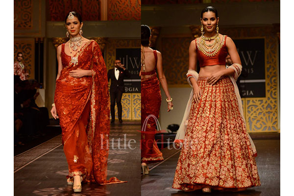 IIJW 2015